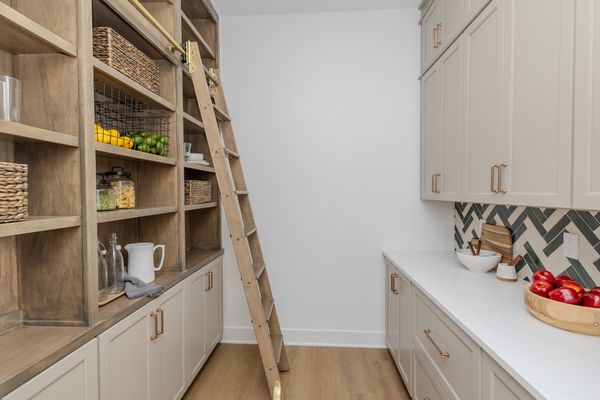 Pantry with library ladder