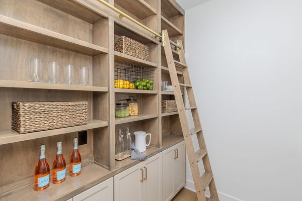 Pantry shelving and library ladder